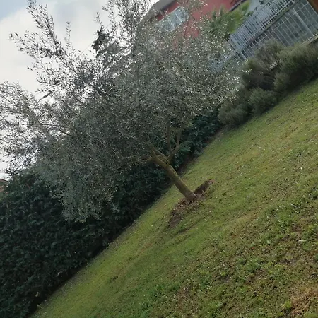Casa Tra I Vigneti * Calosso